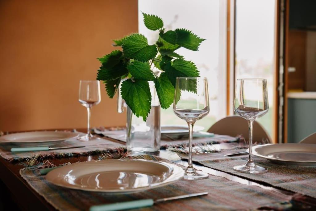 Country Apartment, Near Bardolino And Lazise Calmasino Bagian luar foto