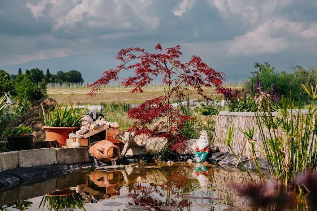 Country Apartment, Near Bardolino And Lazise Calmasino Bagian luar foto